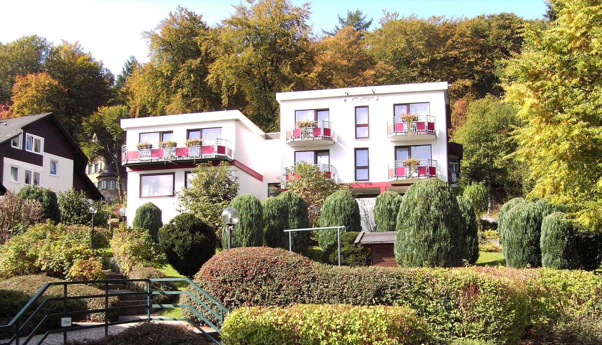 Hotelpension Schroeder Виллинген Экстерьер фото